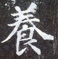 养字的其他书法字体