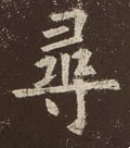 尋字的其他书法字体