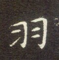 羽字的其他书法字体