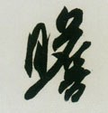 瞻字的其他书法字体