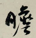 瞻字的其他书法字体