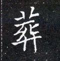 塟字的其他书法字体