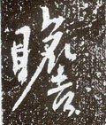 瞻字的其他书法字体