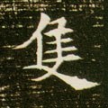 衹字的其他书法字体