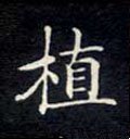 植字的其他书法字体