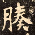 腠字的其他书法字体