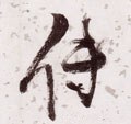 傳字的其他书法字体