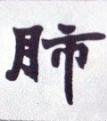 肺字的其他书法字体