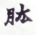 肱字的其他书法字体