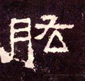 肱字的其他书法字体