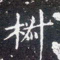 茮字的其他书法字体