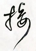 扱字的其他书法字体