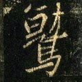 鷲字的其他书法字体