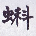 蝌字的其他书法字体