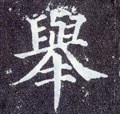 擧字的其他书法字体