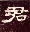 君字的其他书法字体