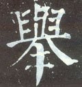 擧字的其他书法字体