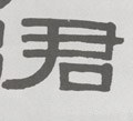 君字的其他书法字体