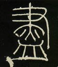 盡字的其他书法字体