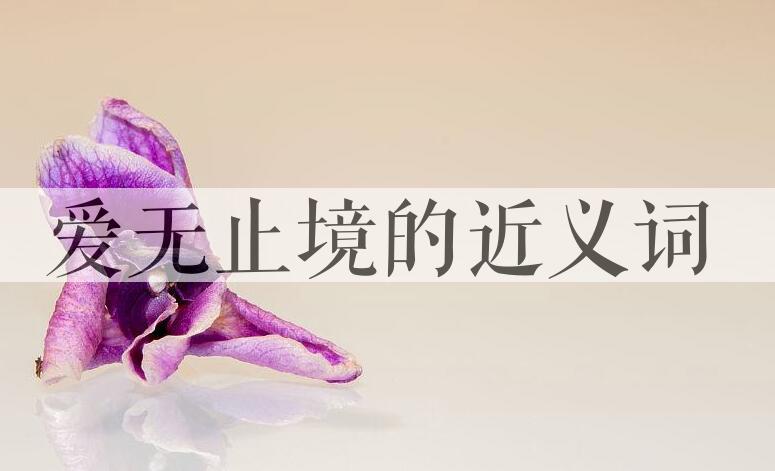 用爱无止境造句