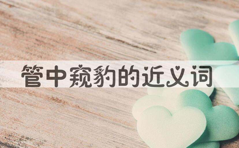 用管中窥豹造句