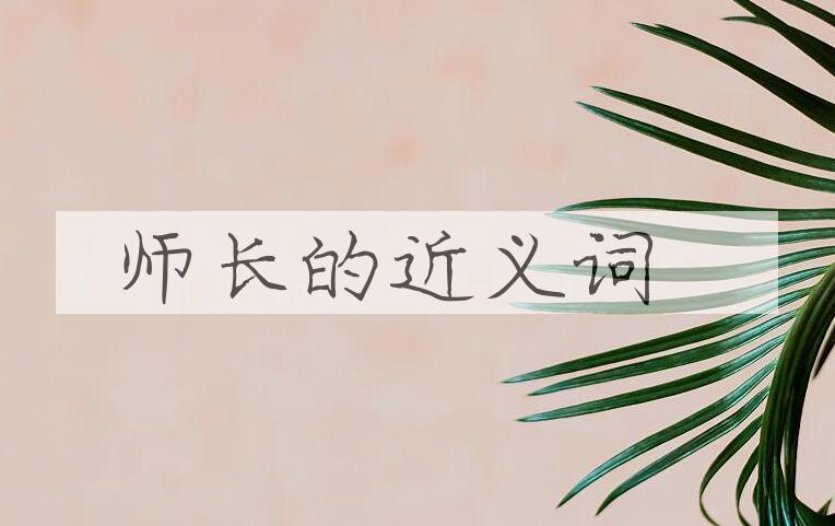 用师长造句