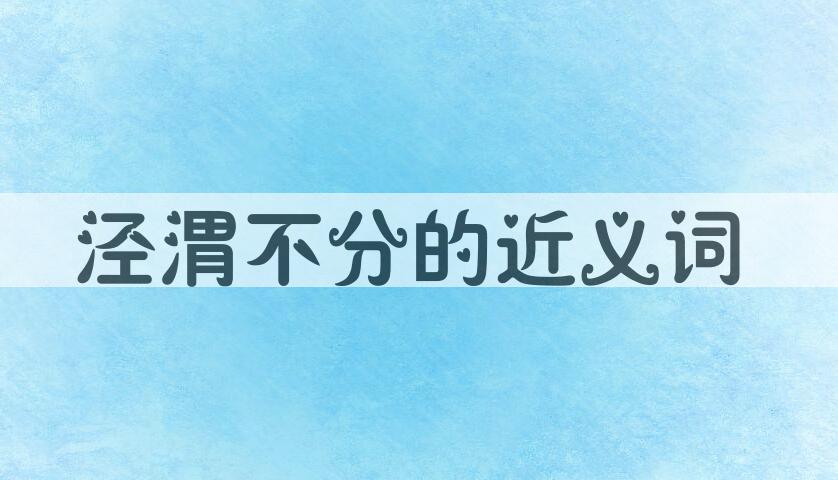 用泾渭不分造句