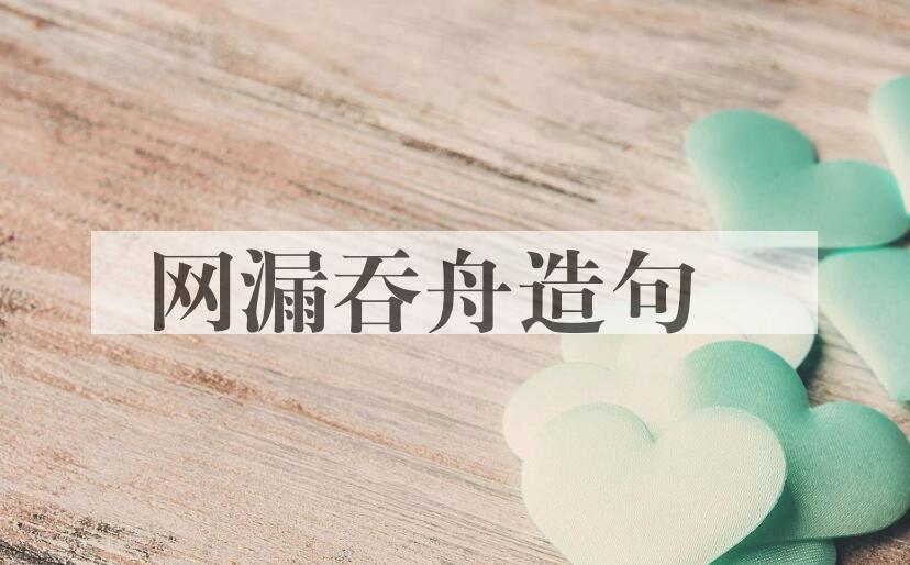 用网漏吞舟造句