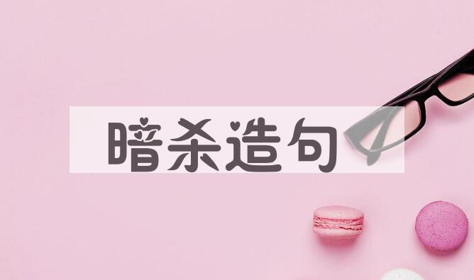 用暗杀造句