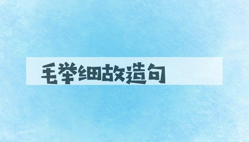 用毛举细故造句