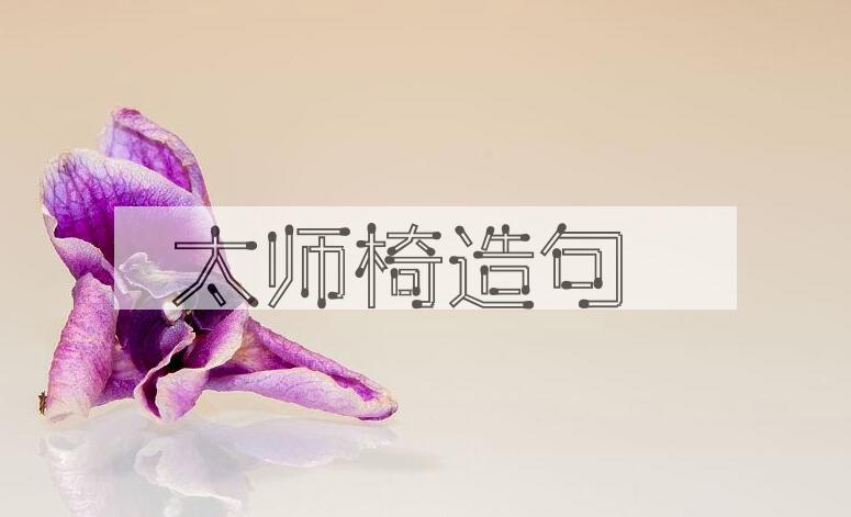 用太师椅造句