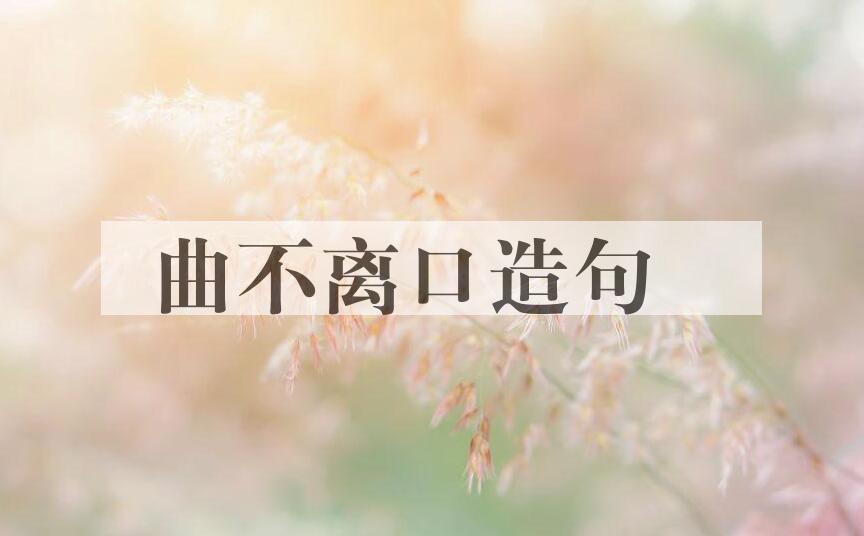 用曲不离口造句