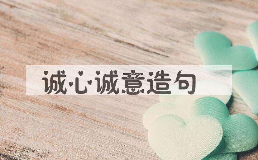 用诚心诚意造句